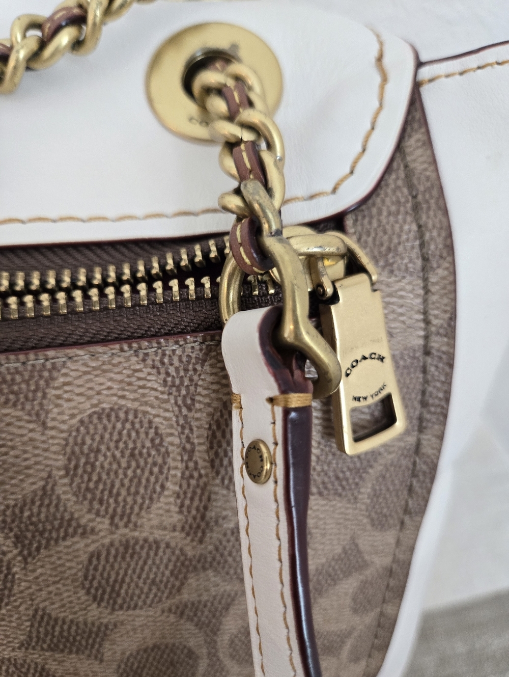 Coach Parker Convertible Backpack in Signature Canvas - Picture 12 of 16
